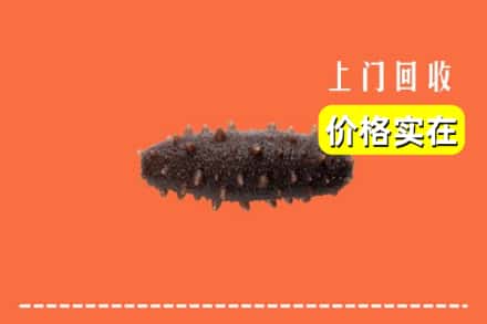 衢州市回收海参