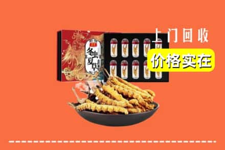 衢州市回收虫草