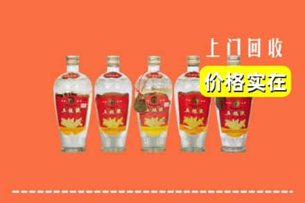 诚信求购:衢州市高价回收老五粮液